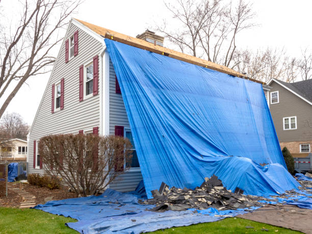 Best Historical Building Siding Restoration  in Frenchtown, NJ