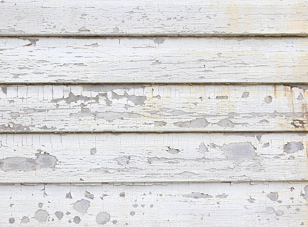 Best Engineered Wood Siding  in Frenchtown, NJ
